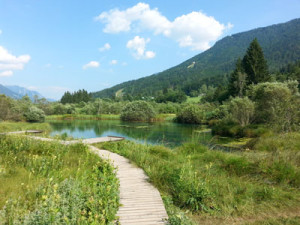 Lesena pot do jezera