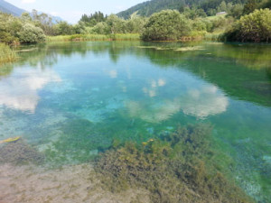 Jezero Zelenci