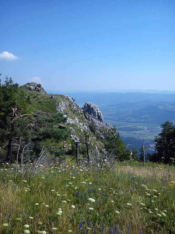 Pokrajina Trnovskega gozda