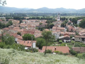 Vipava