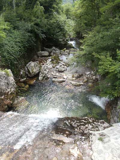 Hubelj pri izviru, poleg učne poti