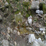 travel-slovenia-gabrje-grofova-voda-view