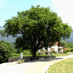 travel-slovenia-po-starodavnih-poteh-pod-cavnom-view