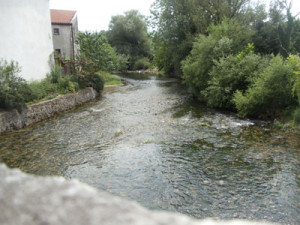 Reka Vipava