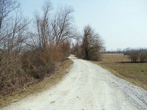 Del poti učne poti Bevke