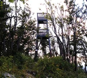 Stolp na vrhu Javornika