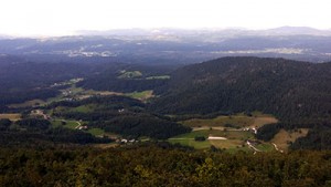 Pogled s stolpa na vrhu Javornika