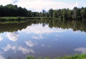 Križevsko jezero